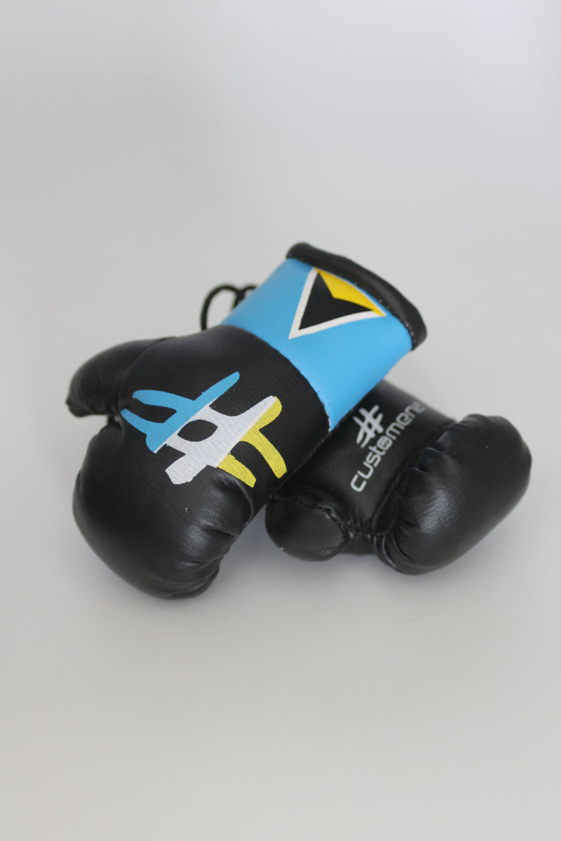 Country # Car boxer glove